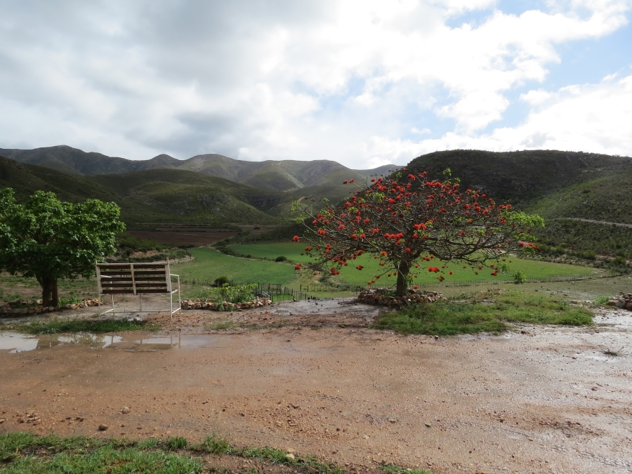 3 Bedroom Property for Sale in Joubertina Eastern Cape